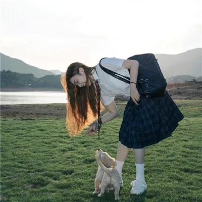 功能失常的猫
